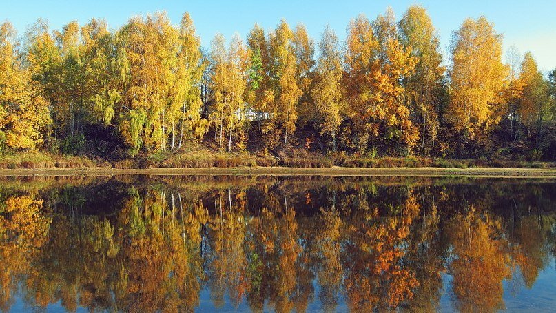 Осень. - Михаил Свиденцов