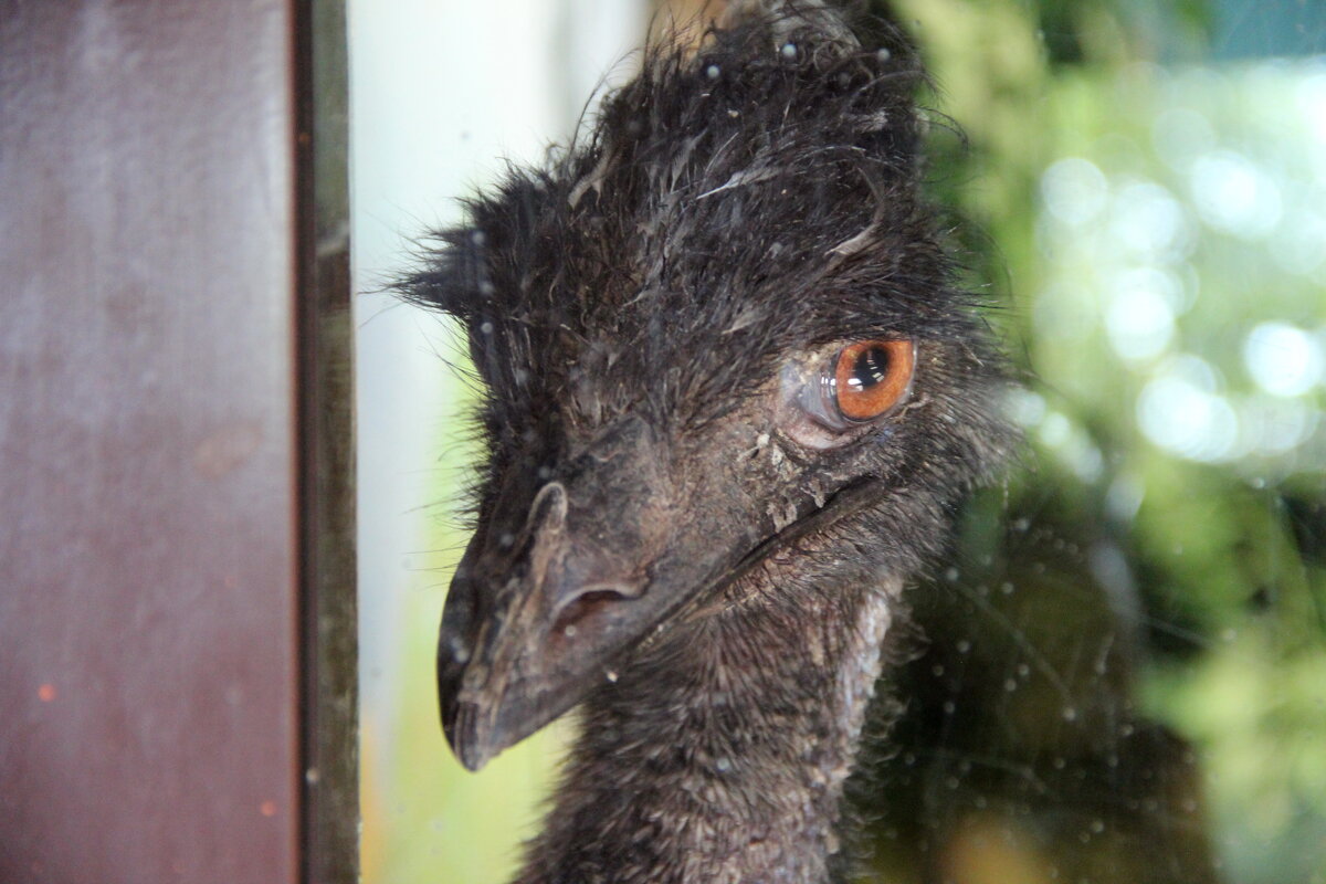 Портрет - Tim Andrews