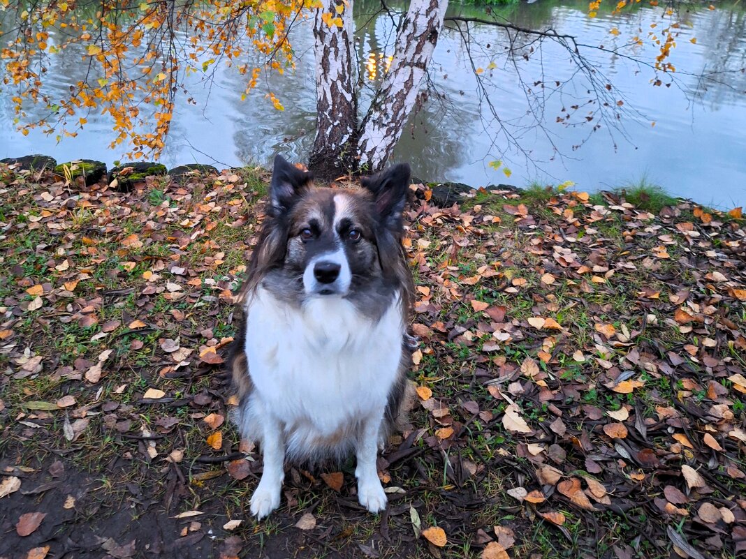 Ося - Наталья 