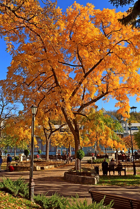 *** - Игорь Kуленко