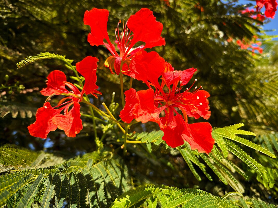 DelonNix - Александр Деревяшкин DelonNix - Александр Деревяшкин