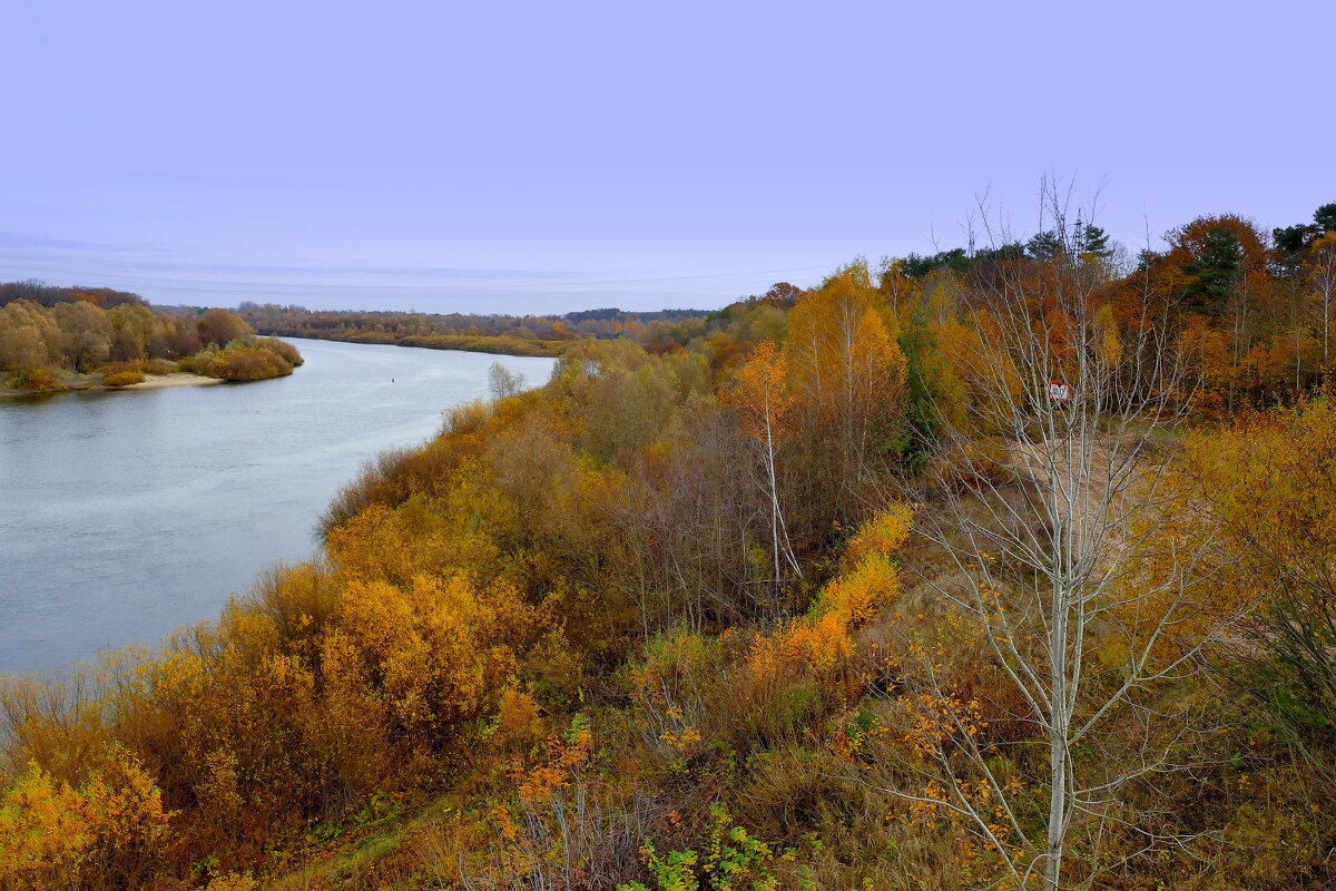 природа 30 октября 15 - Александр Прокудин