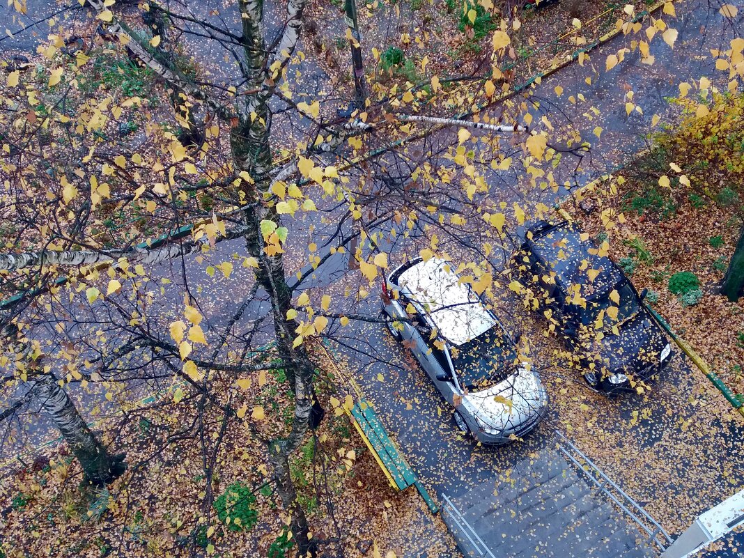 Вид сверху - Galina Solovova