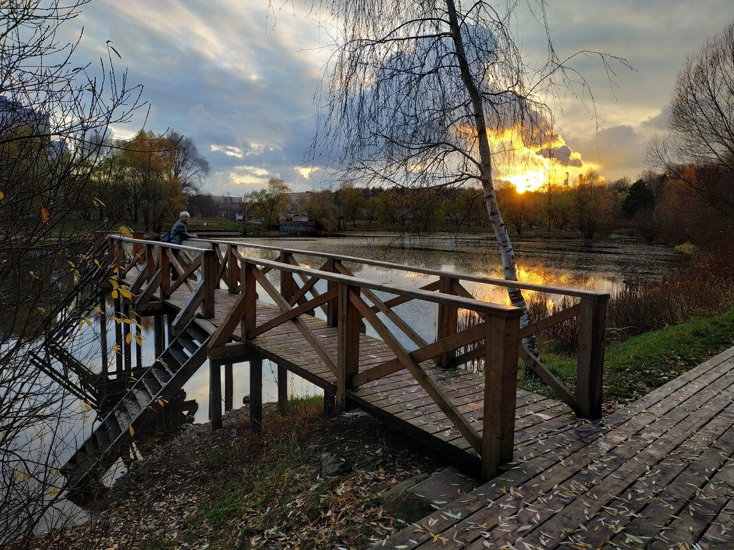 "Ноябрь уж наступил", - мог бы сказать Поэт - Андрей Лукьянов