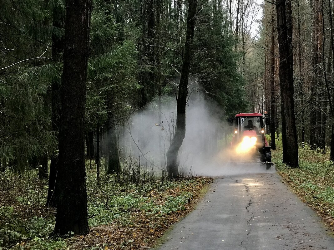Даёшь чистые дорожки! - Любовь 