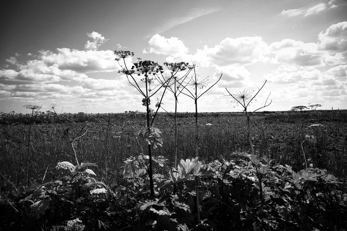 Фотография - Денис Безногов