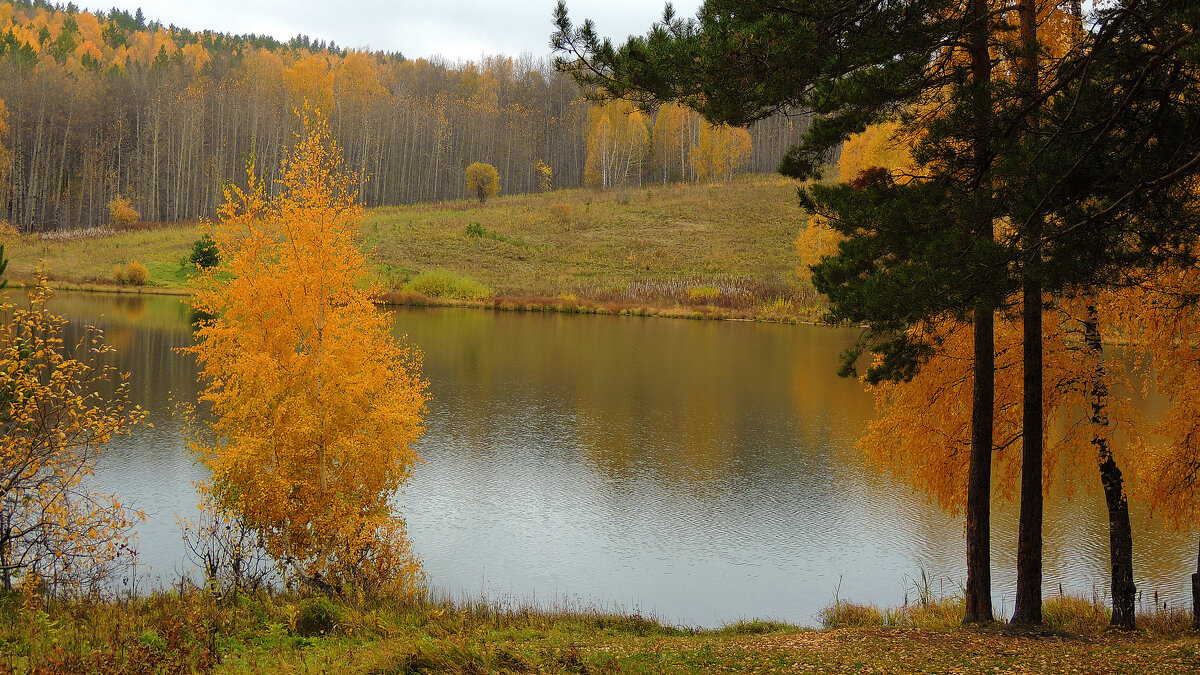Золотая осень - Владимир Кириченко
