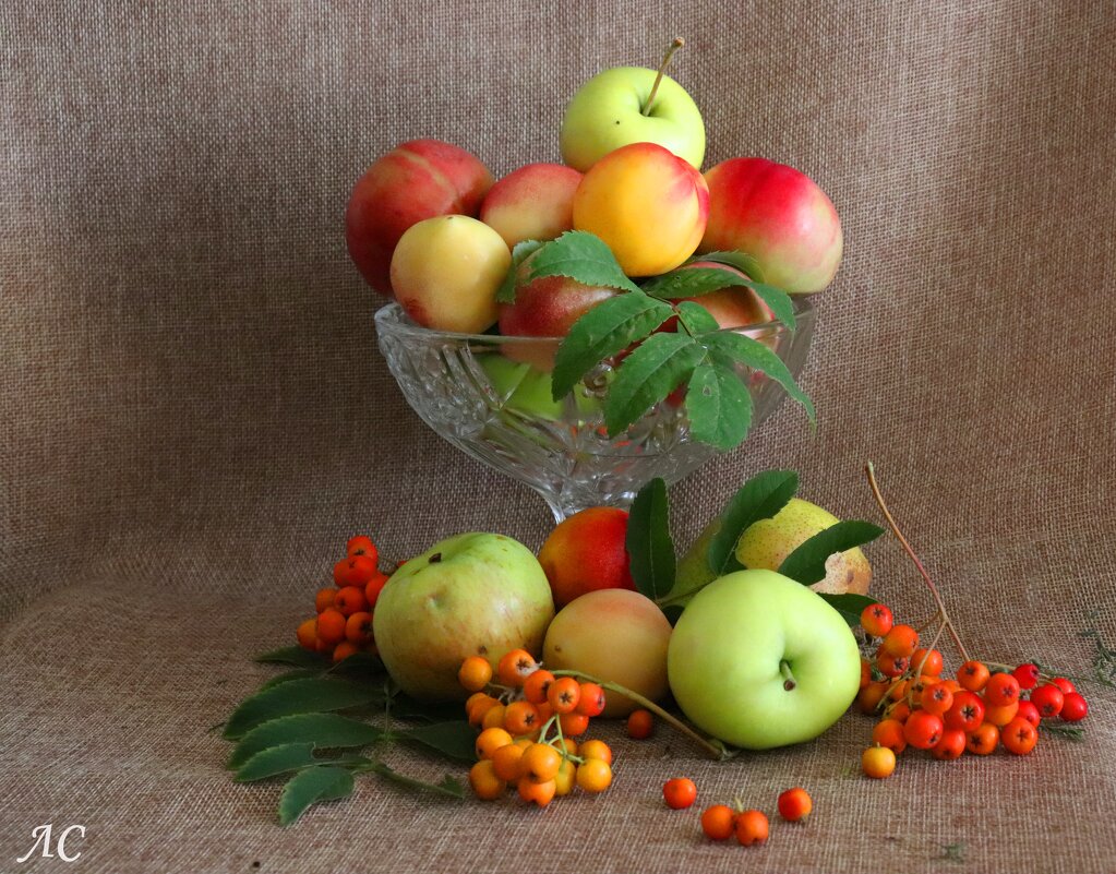 Дары осени. - Любовь Сахарова