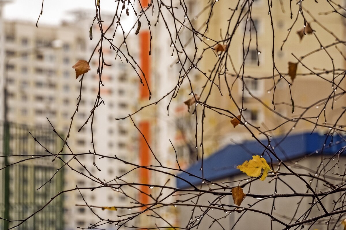 Дождливый день - Валерий Иванович