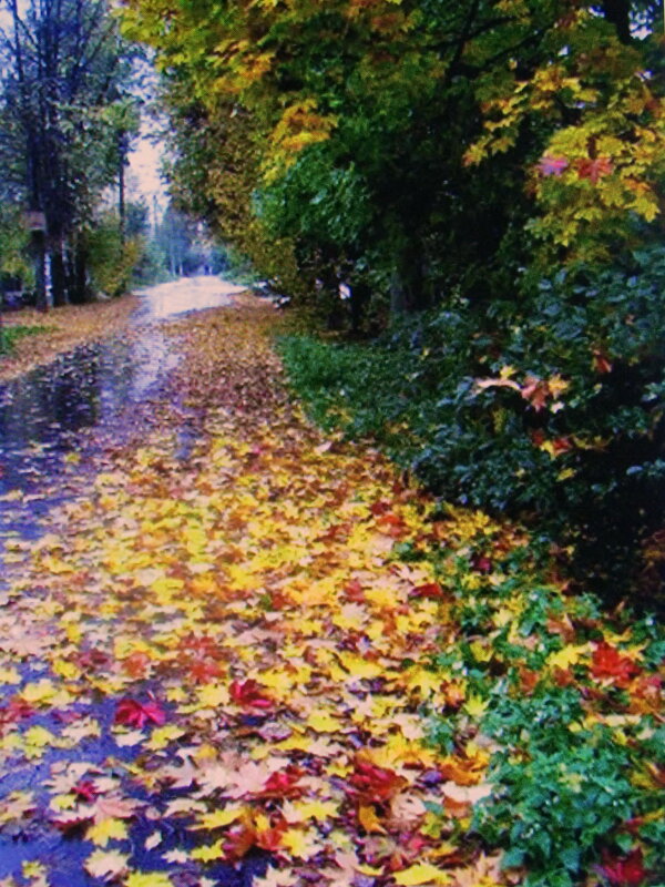 В осенний денёк - Людмила Смородинская