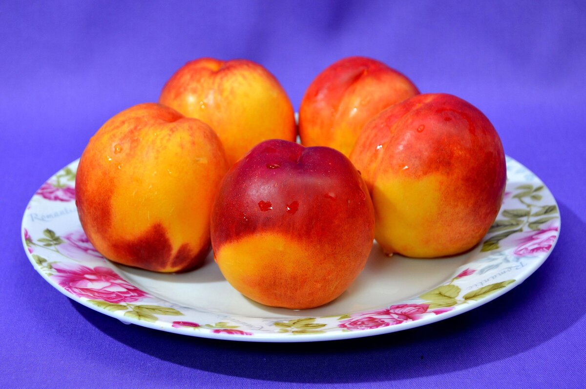 Нектарины - Владимир Помазан