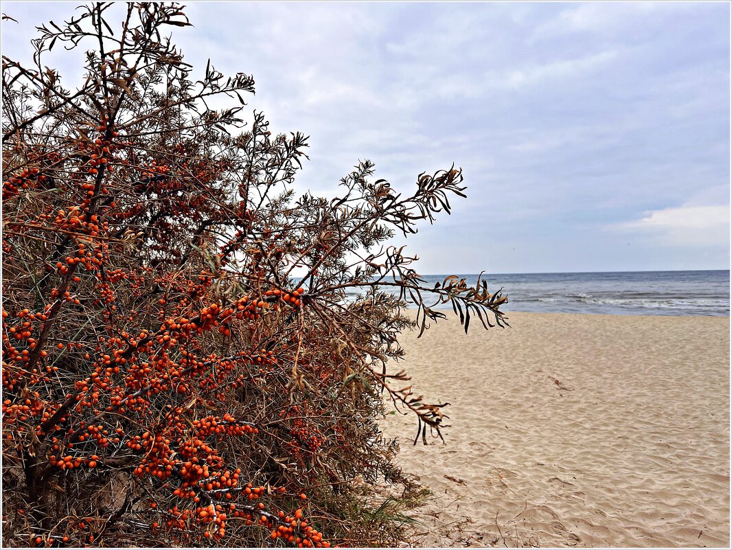 На берегу. - Валерия Комова