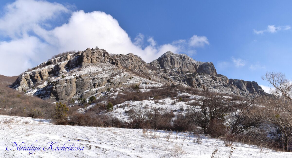 Природа Крыма - Amazing Cosmea