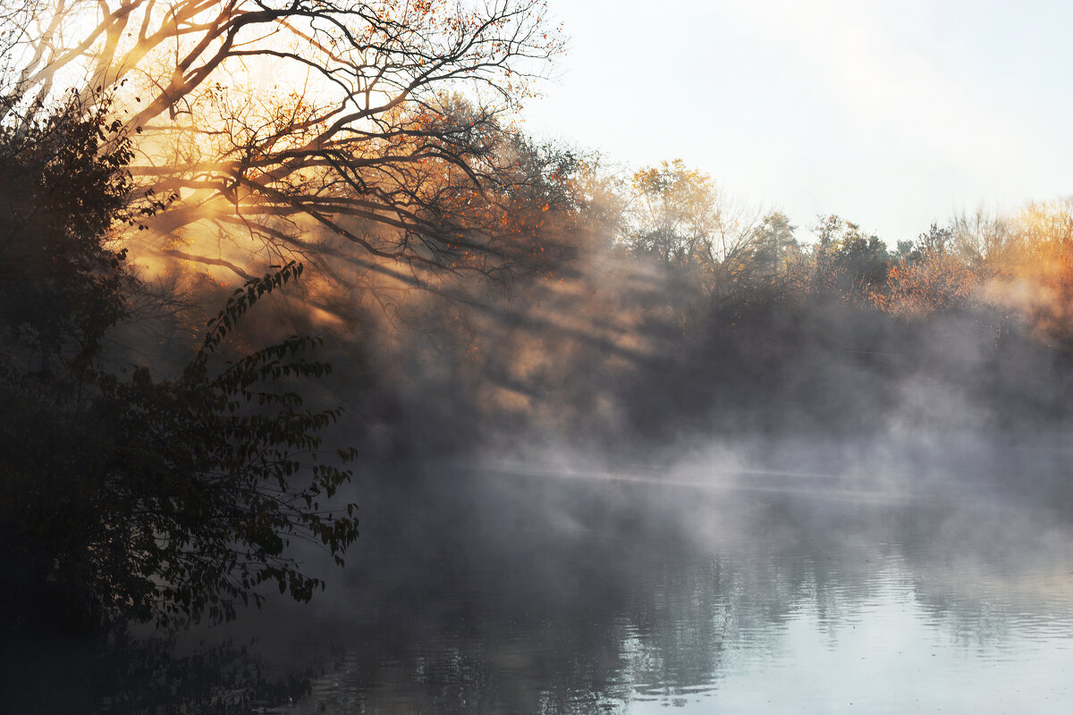 *** - Игорь Протасов