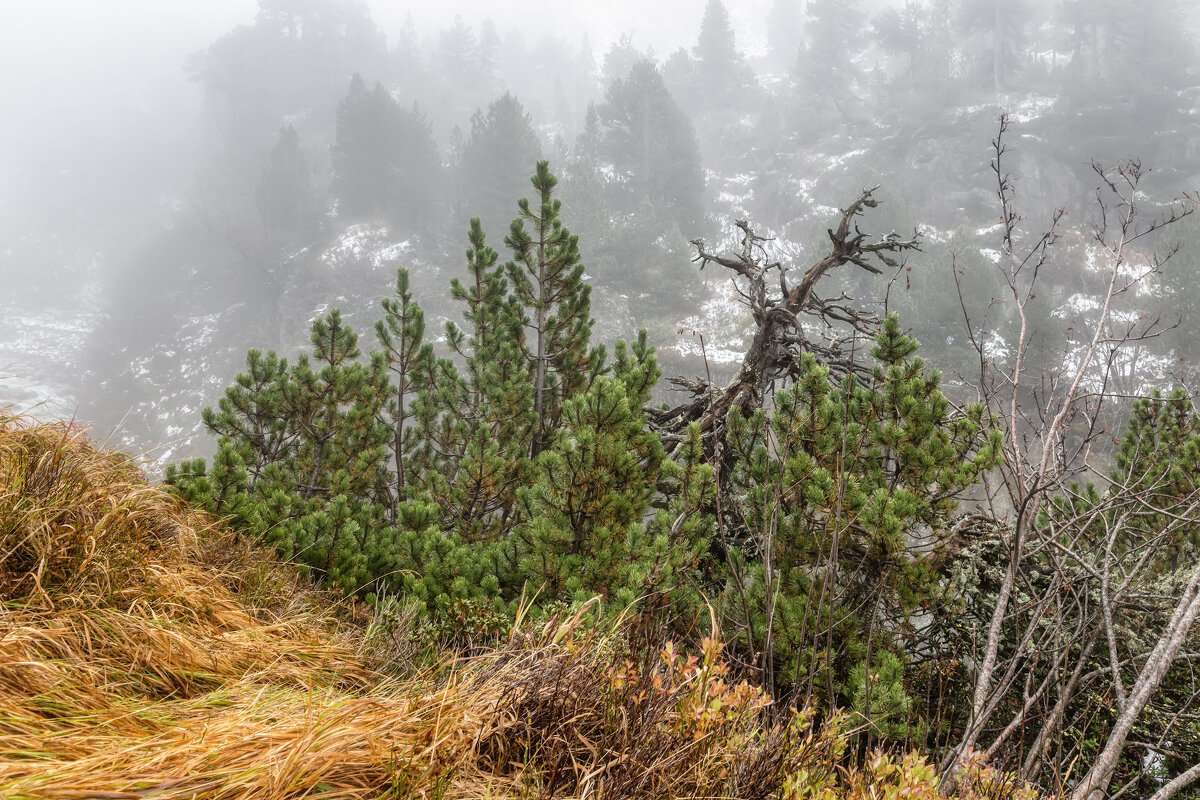 Осень в горах - Владимир Колесников