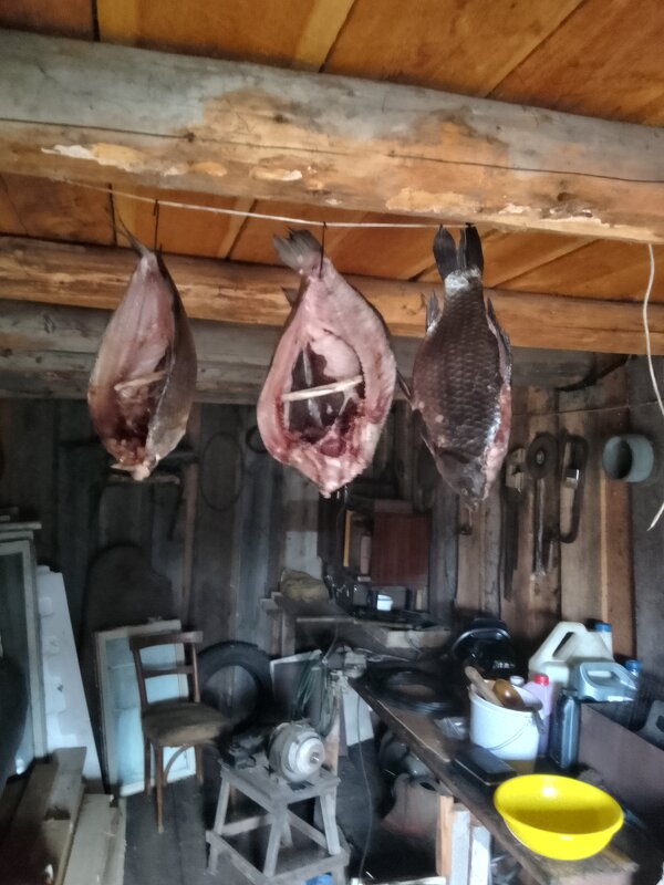 Карась - Лека 