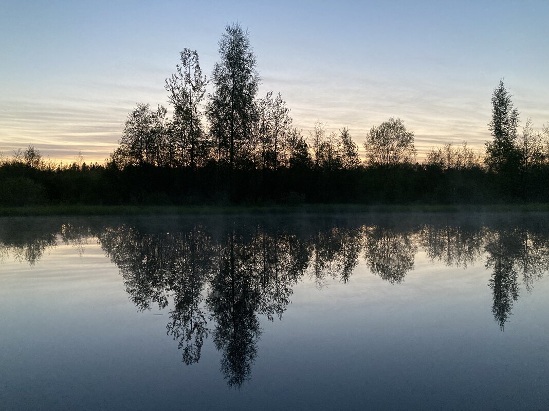 Отражение - Ольга Савельева 