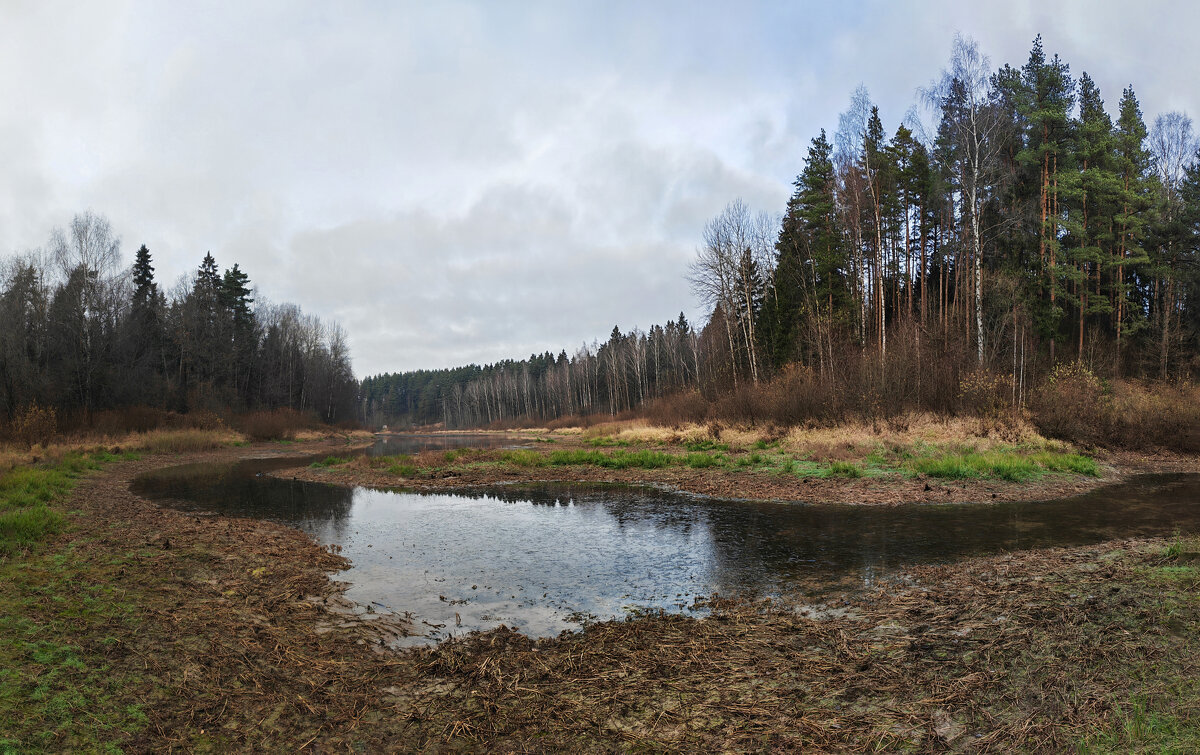 *** - Денис Бочкарёв