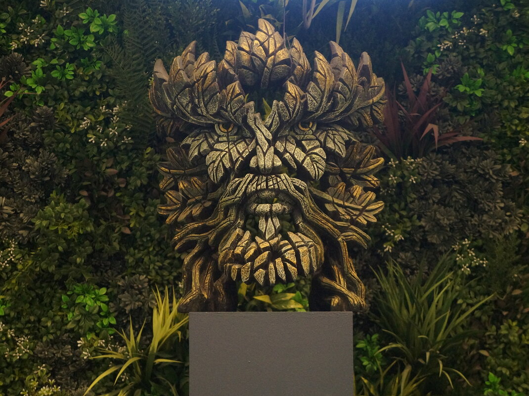 кафе в Эрарте - zavitok *