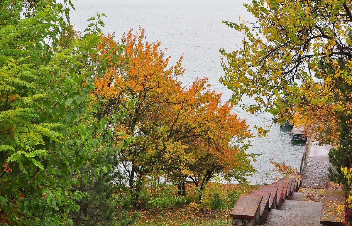 Осень золотая - Vladimir Lisunov