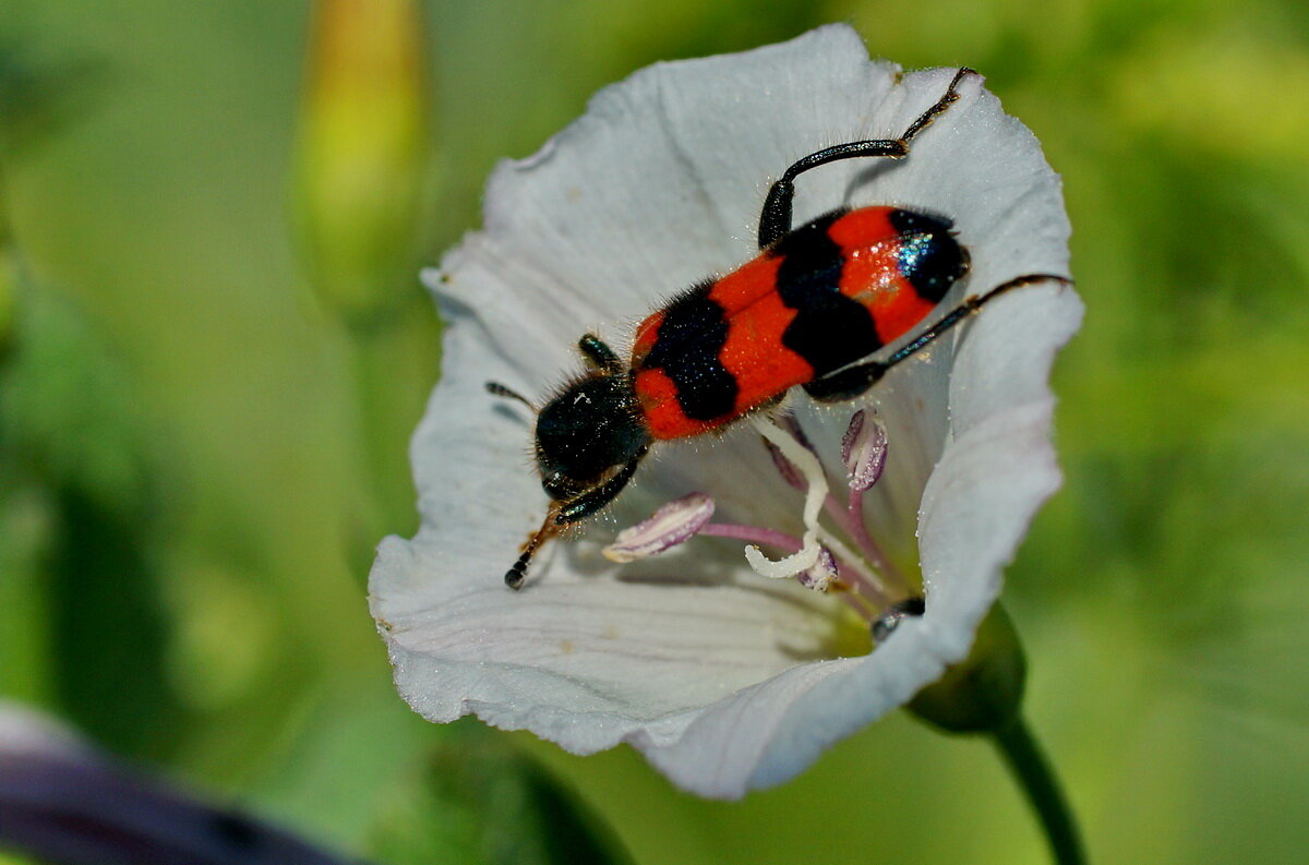 ** - Николай Саржанов