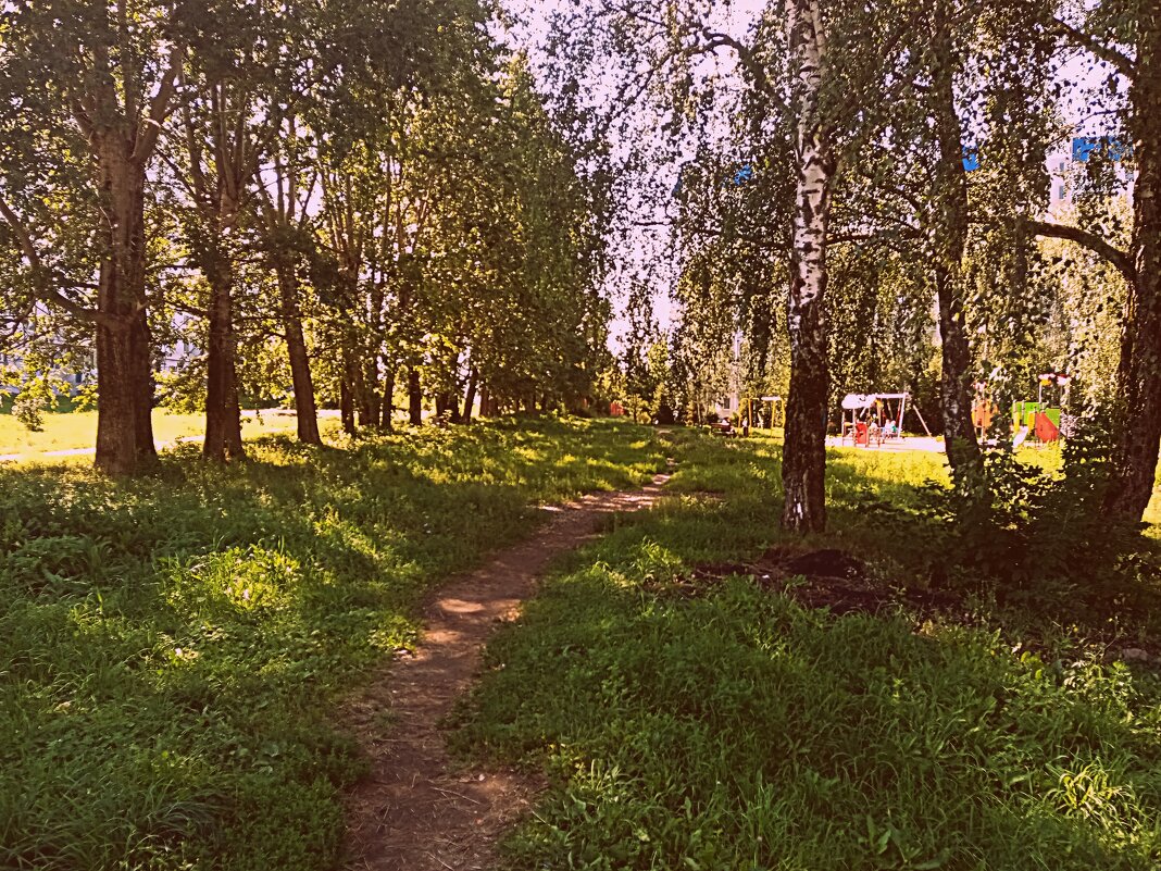 Мценск летом. - Владимир Драгунский