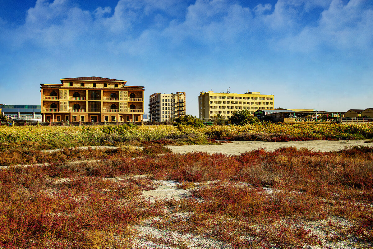 Берег Каспия - Анатолий Чикчирный