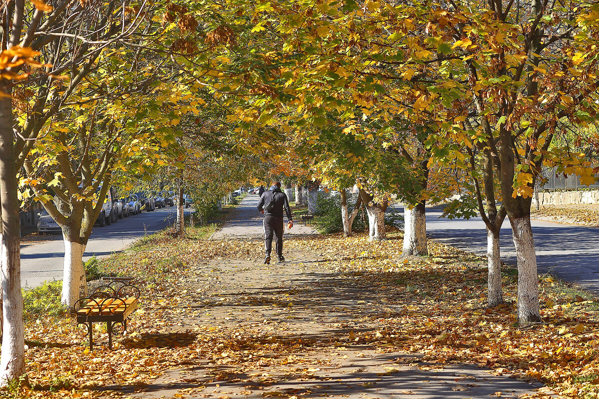 Осенняя аллея - Юрий Гайворонскiий