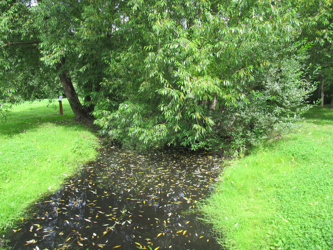 В парке - Елена Шаламова