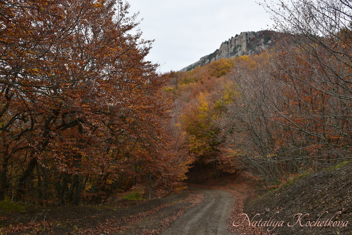 Природа Крыма - Amazing Cosmea