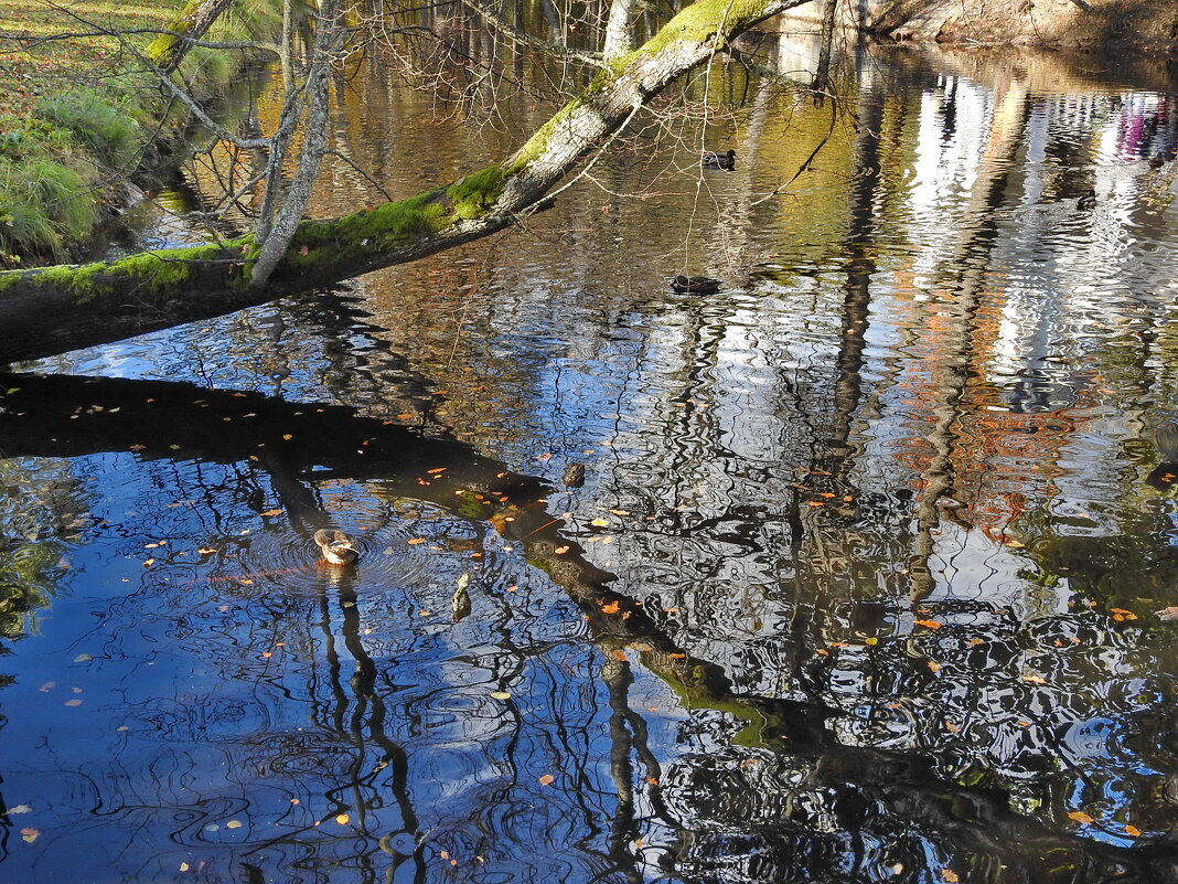 осень - ИННА ПОРОХОВА