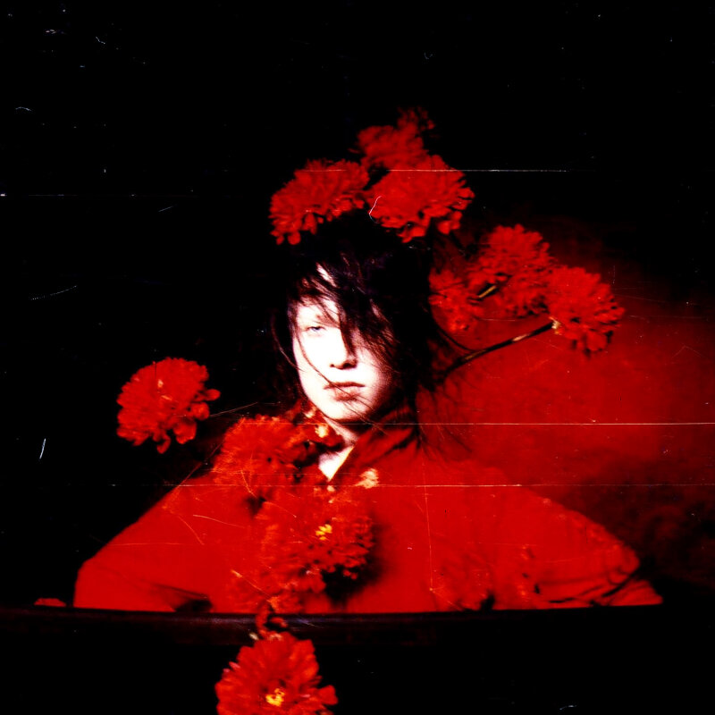 *** - Евгений Нодвиков