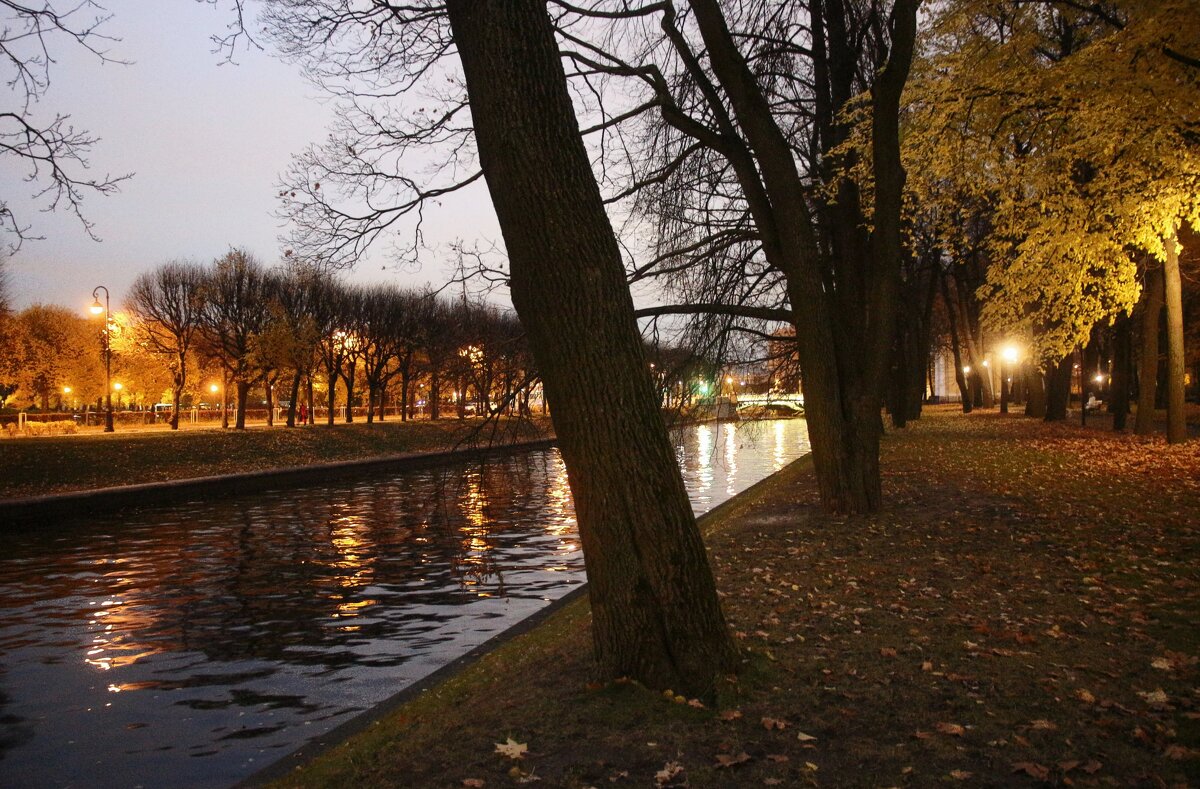 Вечер на Мойке - Наталья Герасимова