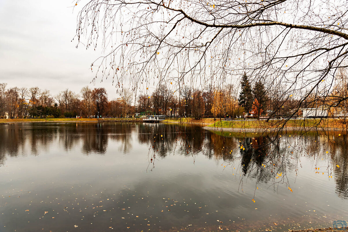 ноябрь - Александр 