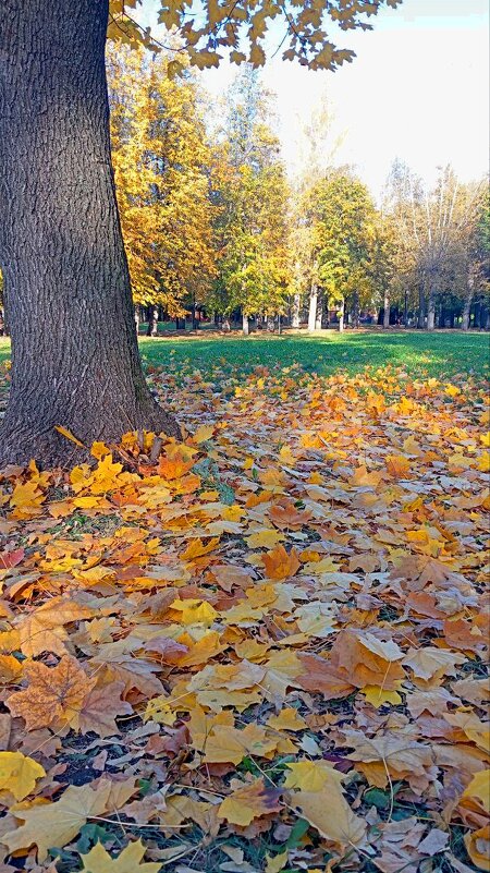 осень - Гульфина Булатова