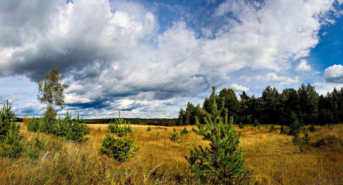 поле,Бокситогорск - Laryan1 