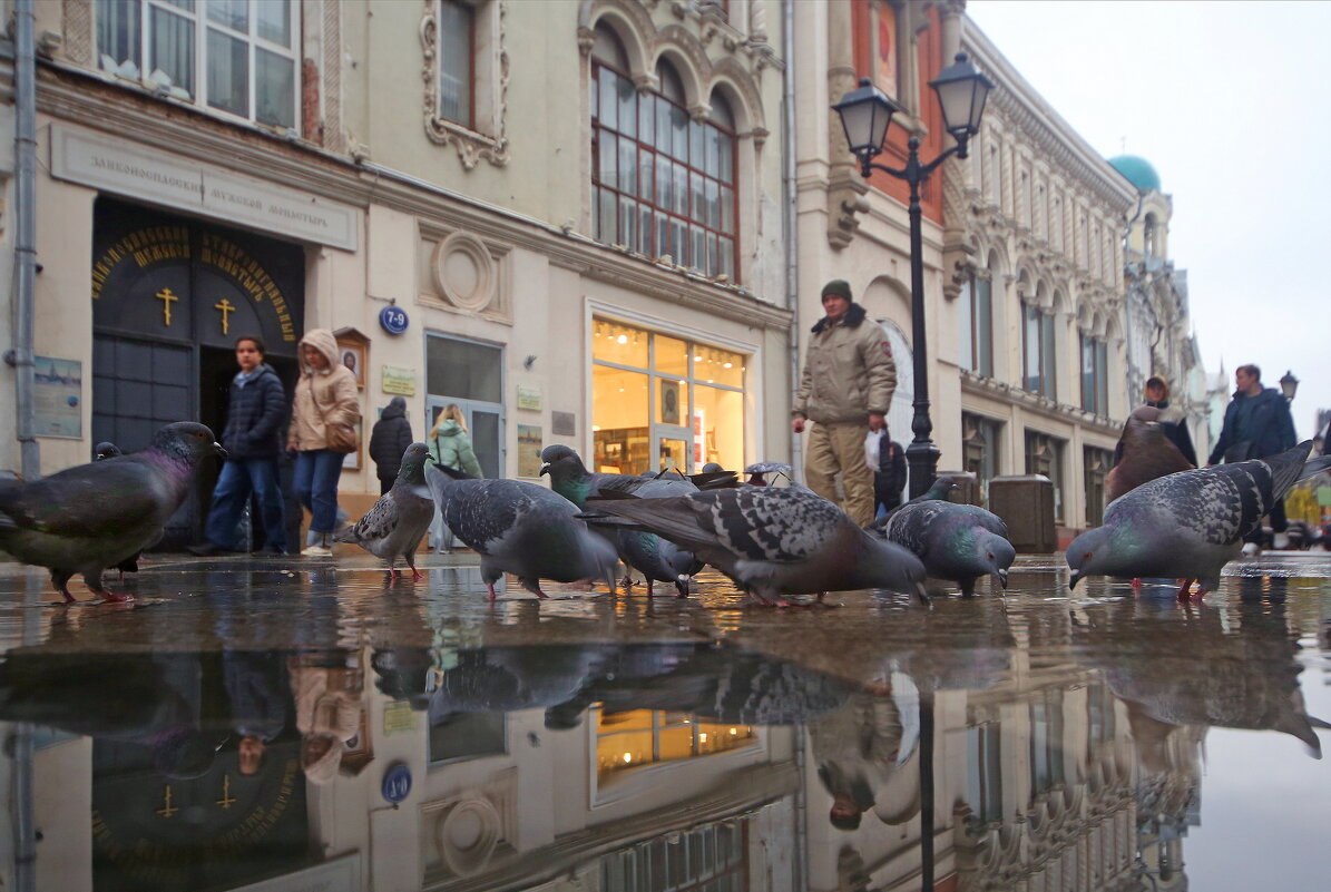 4 ноября Никольская - Михаил Бибичков