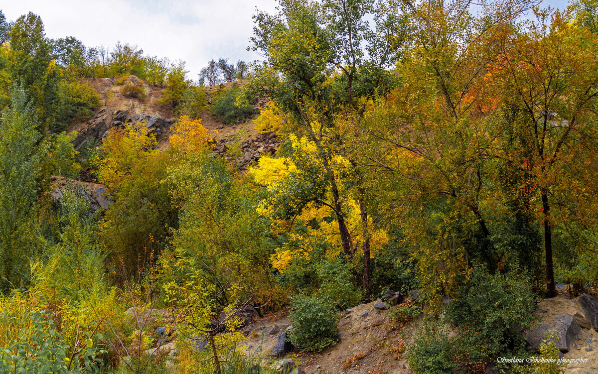 Краски осени - Светлана Ищенко