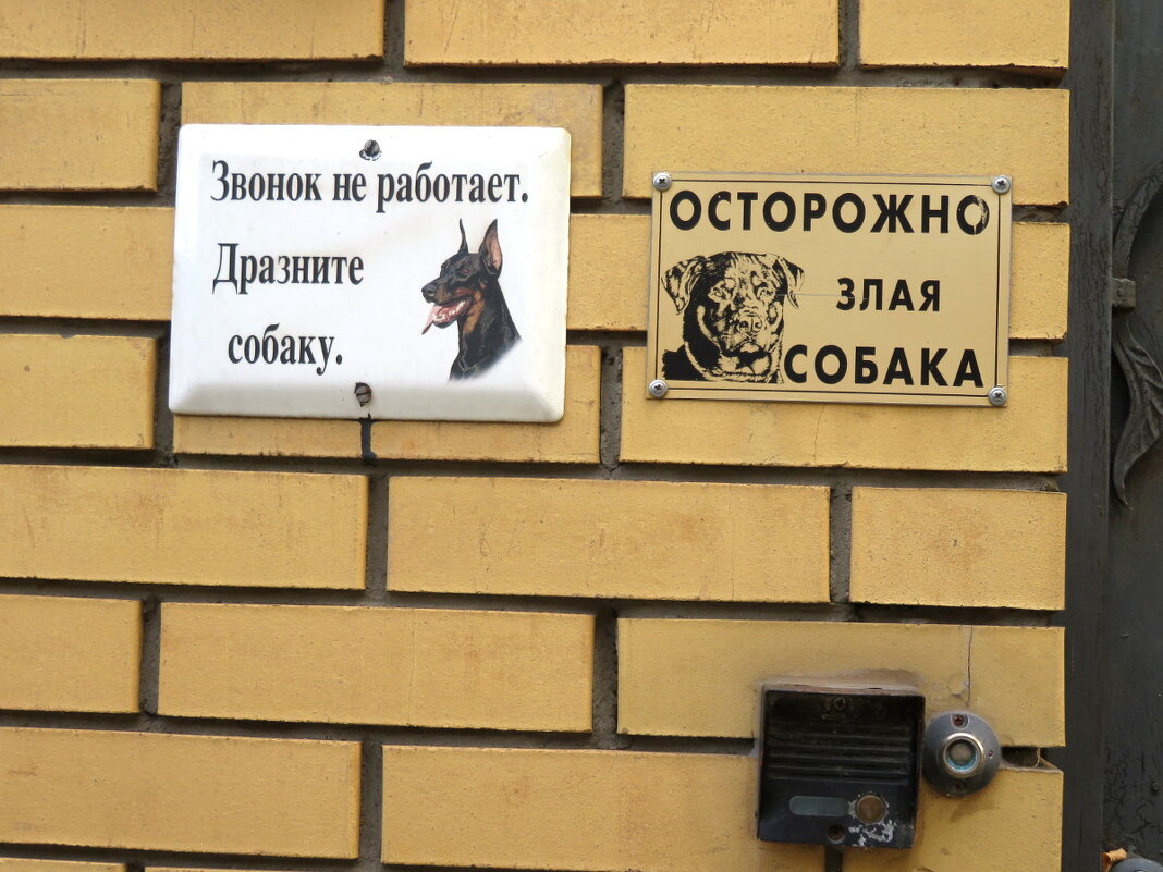 Пробовал дразнить - молчит, собака! - Егор Бабанов