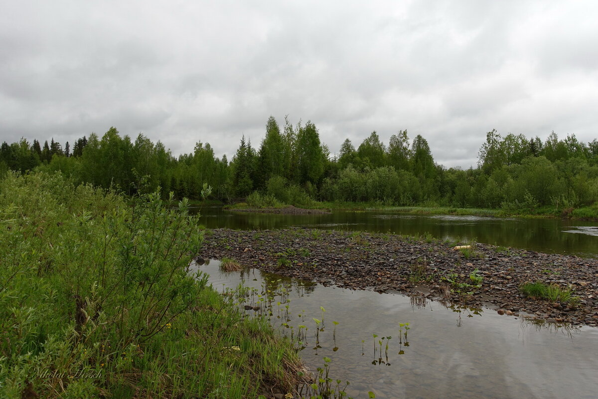 По Уралу... Косьва... - Николай Гирш