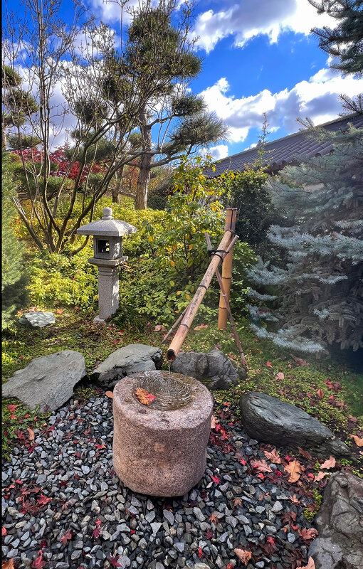 Краснодар. Парк Галицкого . Японский сад - Galina Краснодар. Парк Галицкого . Японский сад - Galina