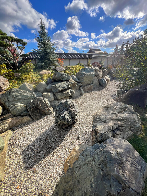 Краснодар. Парк Галицкого . Японский сад - Galina 