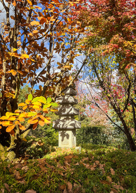 Краснодар. Парк Галицкого . Японский сад - Galina Краснодар. Парк Галицкого . Японский сад - Galina