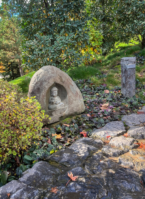 Краснодар. Парк Галицкого . Японский сад - Galina 