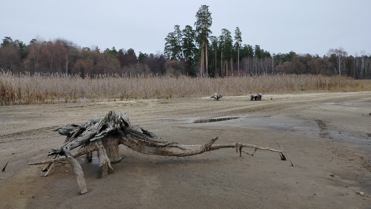 Сурское водохранилище - Олег Денисов