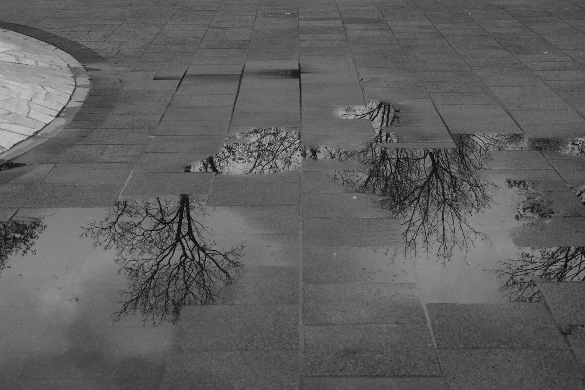 Отражение в воде - Мария Яковлева