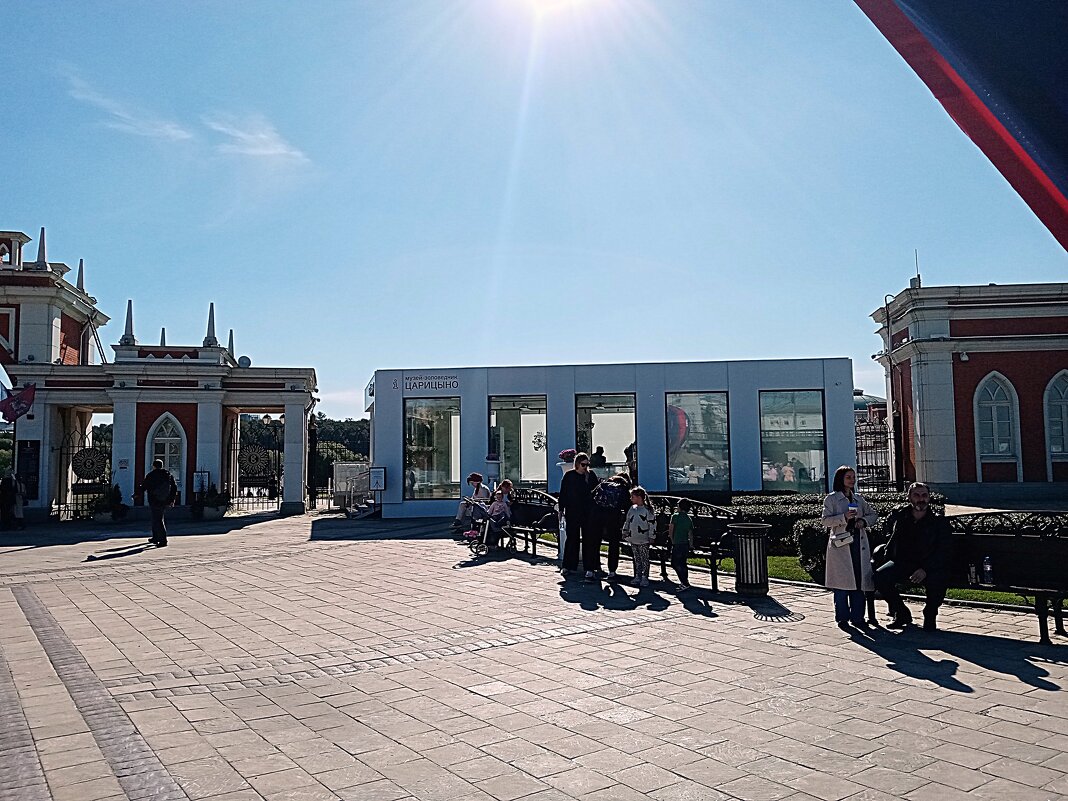 Царицыно. - Владимир Драгунский