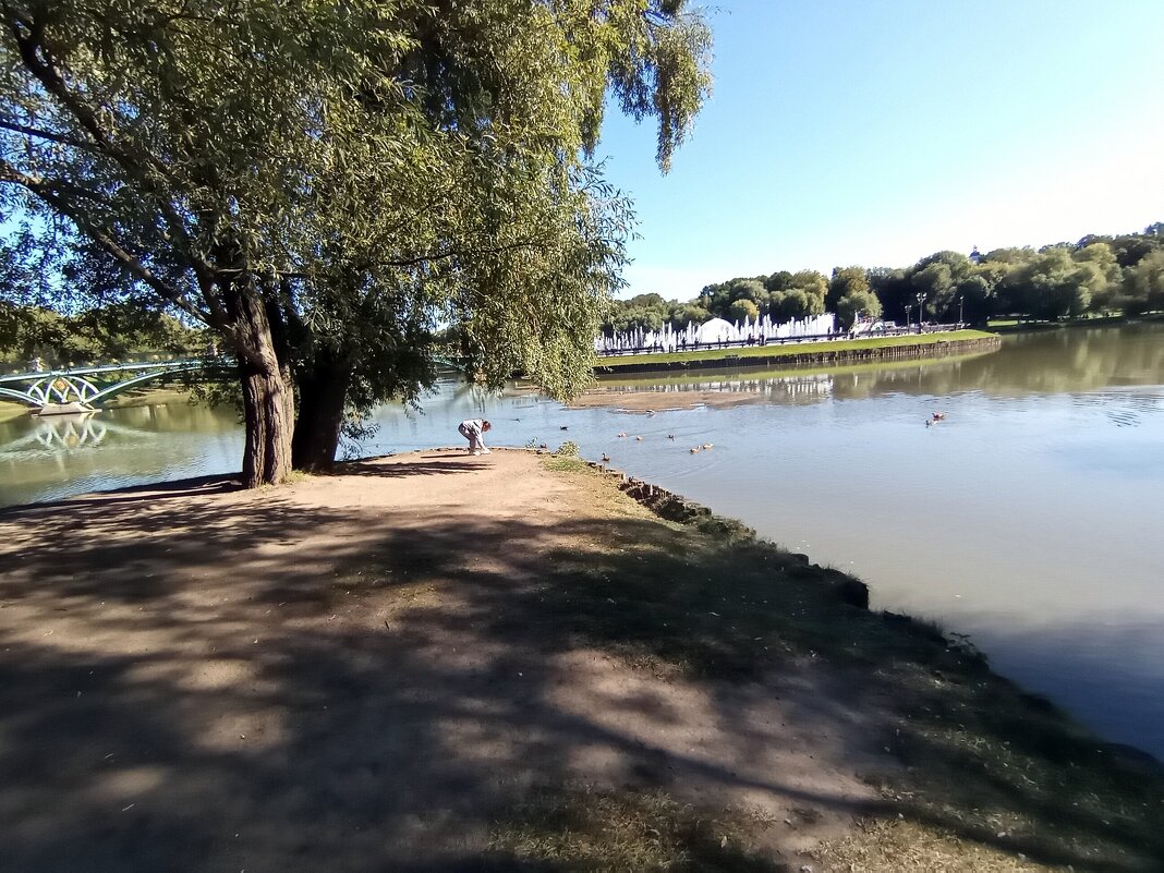 Царицыно. - Владимир Драгунский