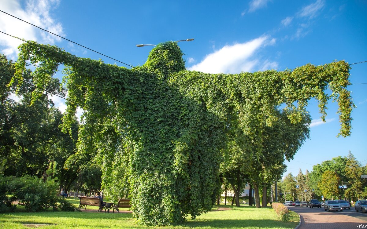 3993 - Alex . 3993 - Alex .