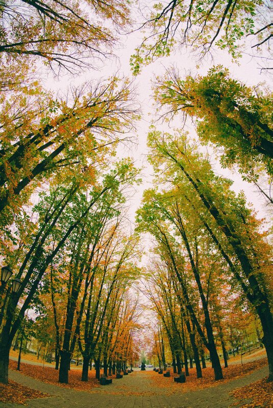 Ноябрь - Евгений П.